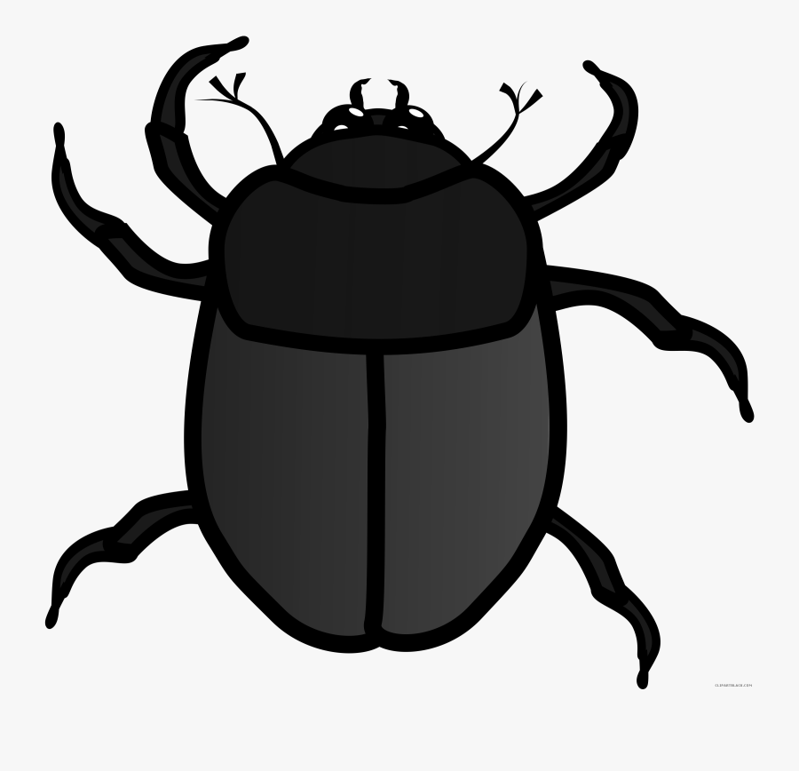 Amazing Bug Animal Free Black - Clip Art Cute Beetle, Transparent Clipart