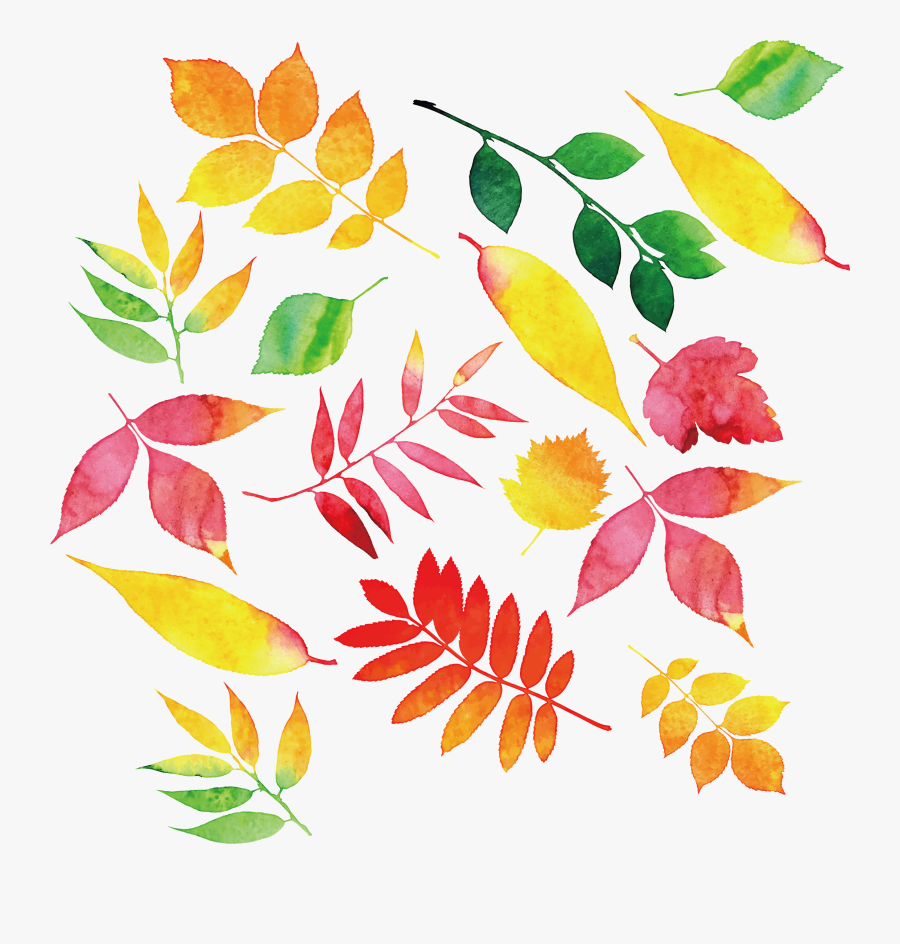 Autumn Leaf Color, Transparent Clipart