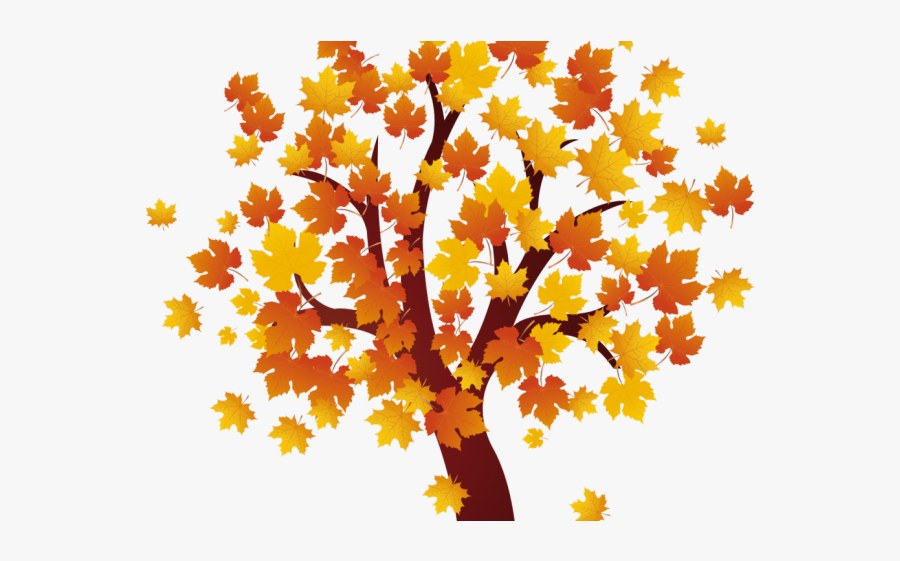 Transparent Fall Tree Clipart, Transparent Clipart