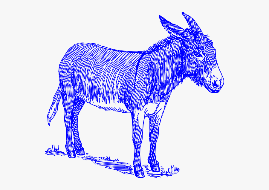Donkey Drawn, Transparent Clipart