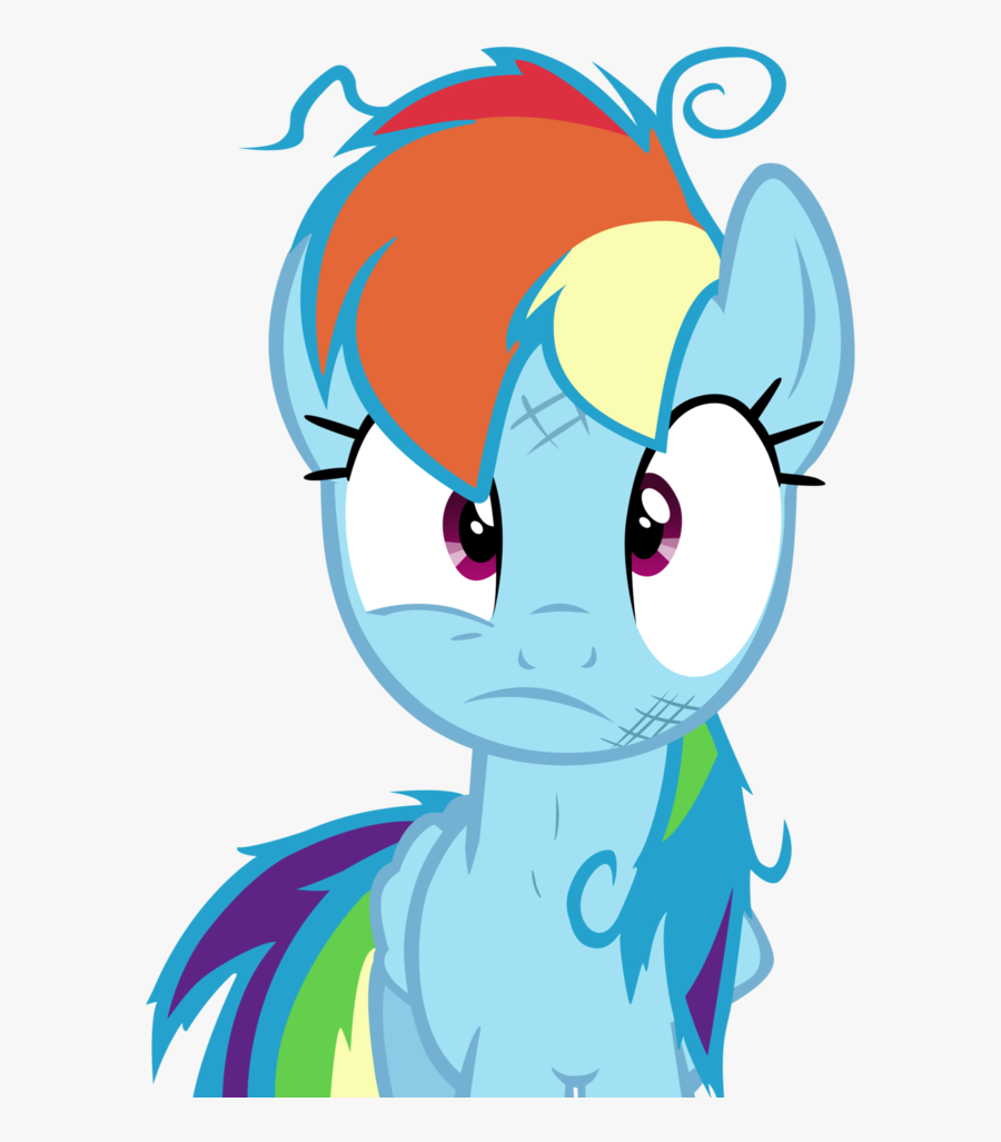 We Got The Wrong Pony Vector By Darkfear - My Little Pony Twilight And Rainbow Dash, Transparent Clipart