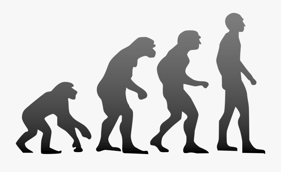 The Hrd Minister Thinks Theory Of Evolution Is Wrong - Evolution Of Man 4 Stages, Transparent Clipart