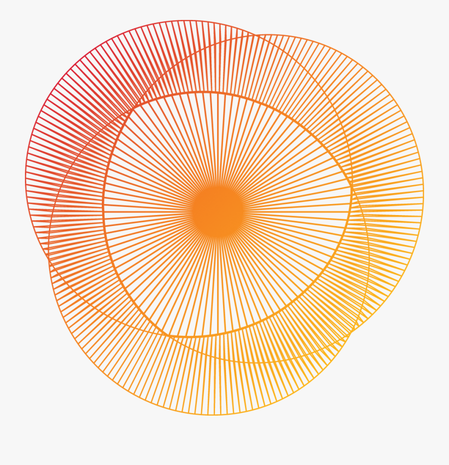 Circle, Transparent Clipart