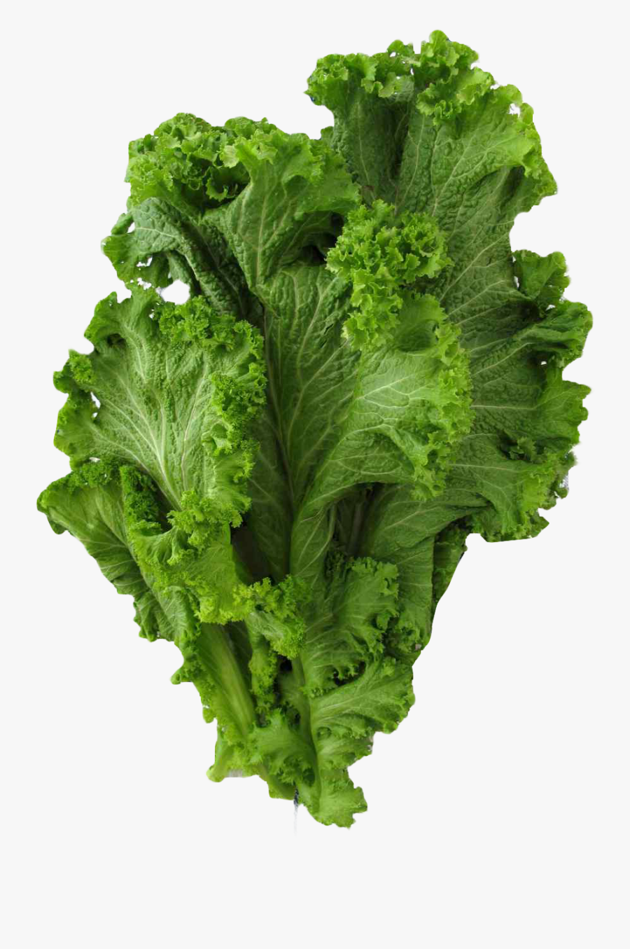 Mustard Greens Png, Transparent Clipart