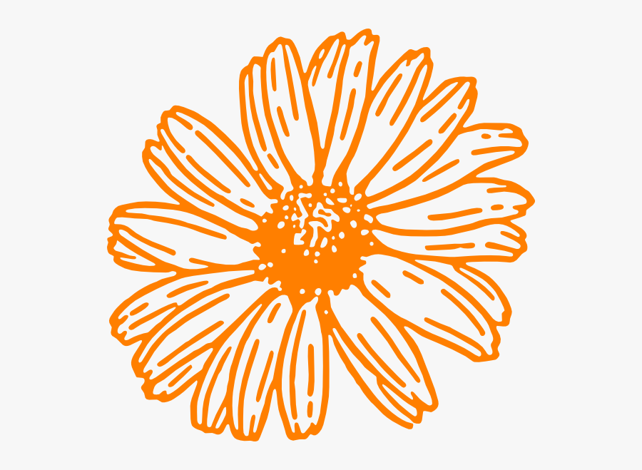 White Outline Flower Clipart, Transparent Clipart