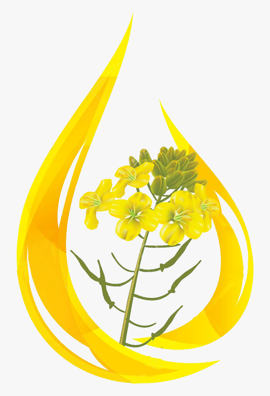 Oil Clipart Mustard Oil - Mustard Oil Drop, Transparent Clipart