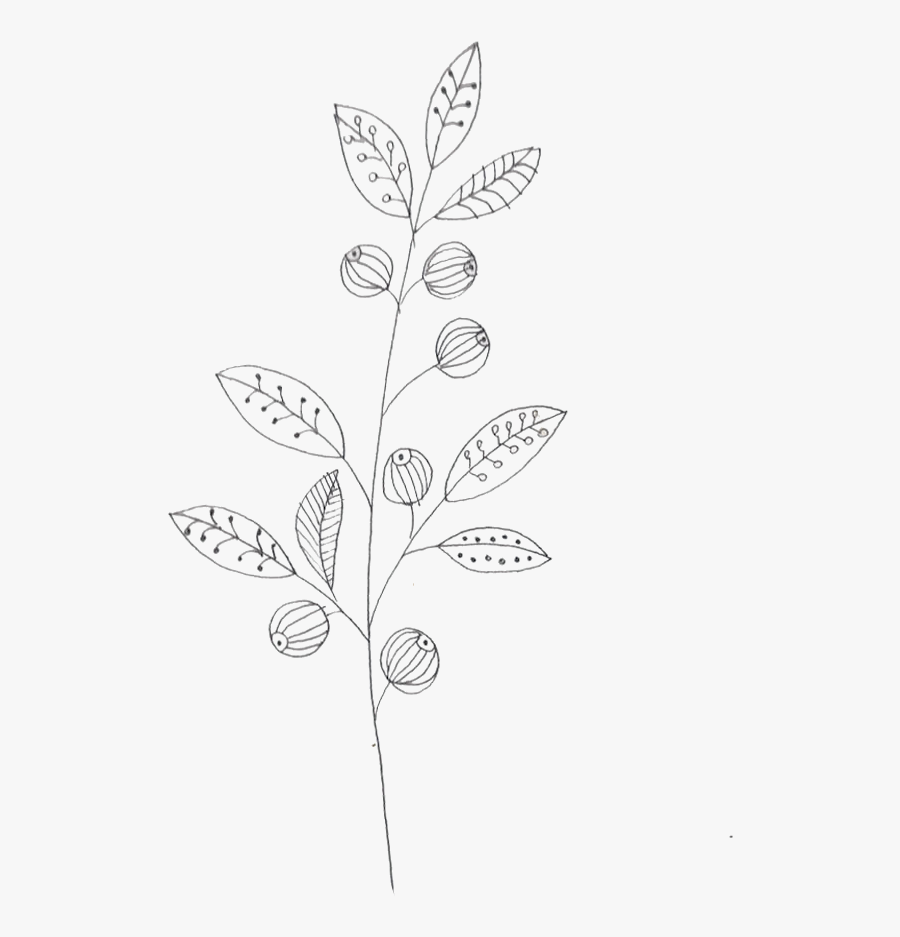 Line Art, Transparent Clipart