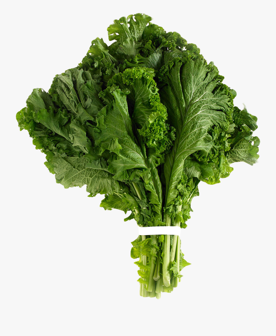 Lettuce Clipart Mustard Vegetable - Mustard Greens Png, Transparent Clipart