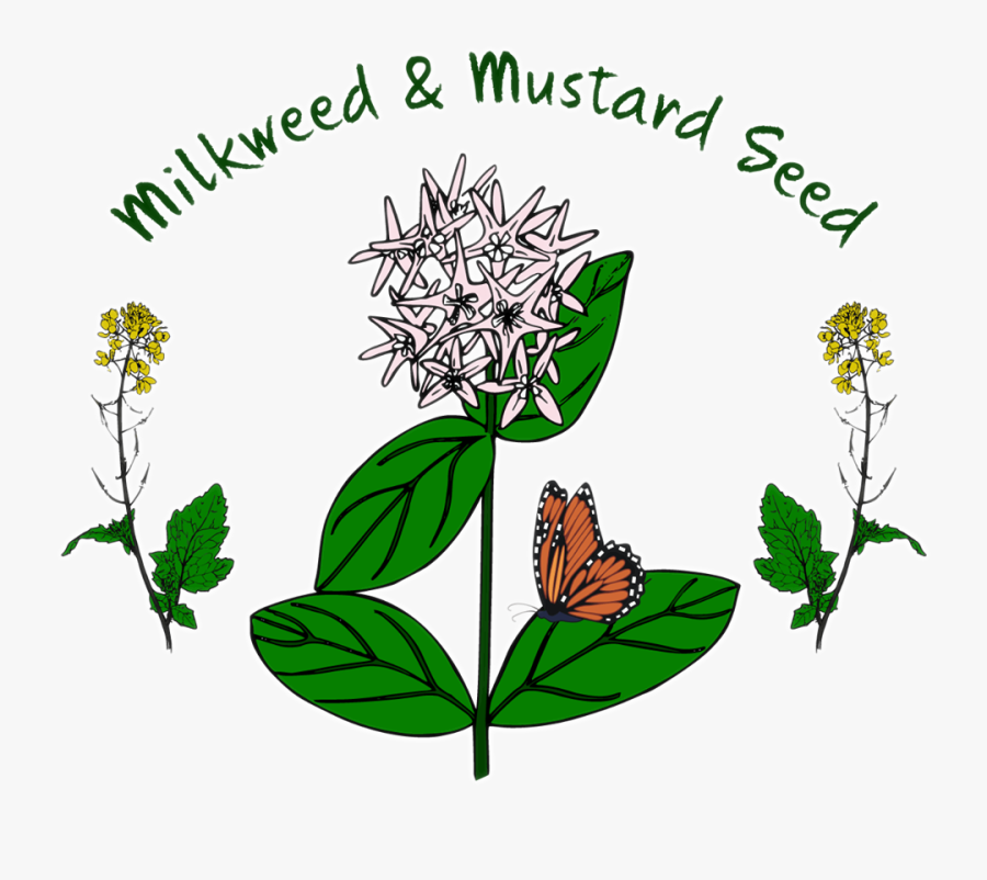 Milkweed & Mustard Seed Is A Local Project To Help - Monarch Butterfly, Transparent Clipart