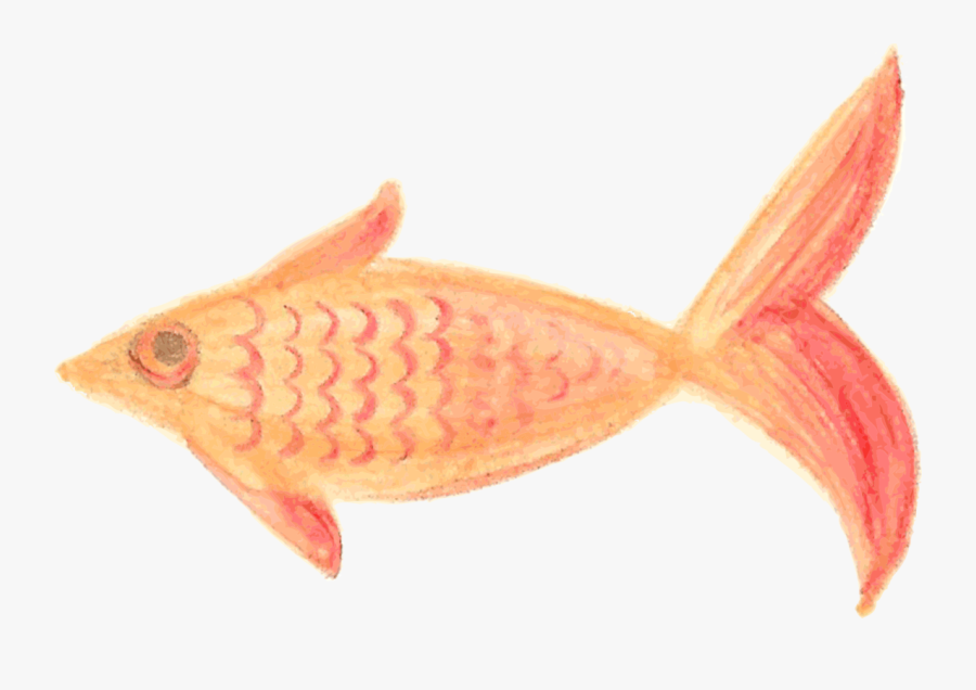 Pink,animal Source Foods,fish - Painted Fish Png, Transparent Clipart