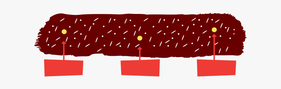 Seeding Stage - Illustration, Transparent Clipart