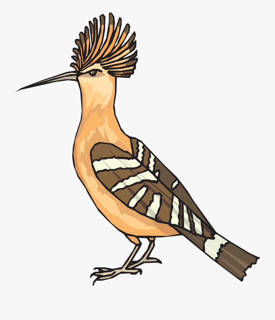 Hoopoe Clipart, Transparent Clipart