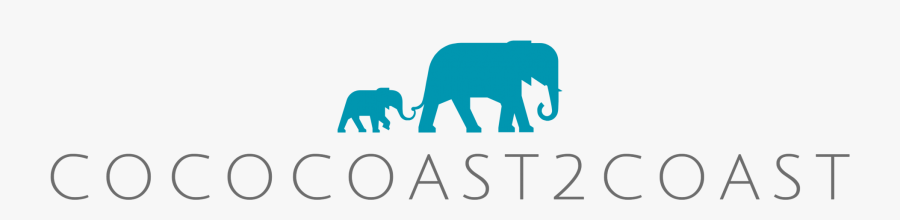 Cococoast2coast - Indian Elephant, Transparent Clipart