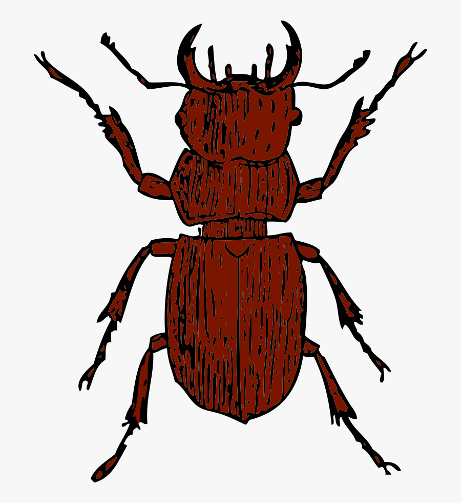 Sleepy Vw Beetle Clipart, Vector Clip Art Online, Royalty - Bugs Clip Art Black And White, Transparent Clipart