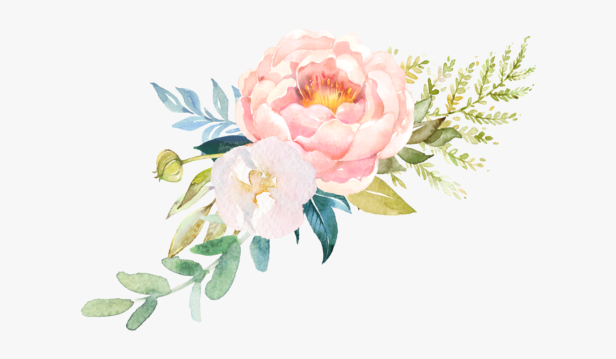 Learn Wedding Floral Design - Common Peony, Transparent Clipart