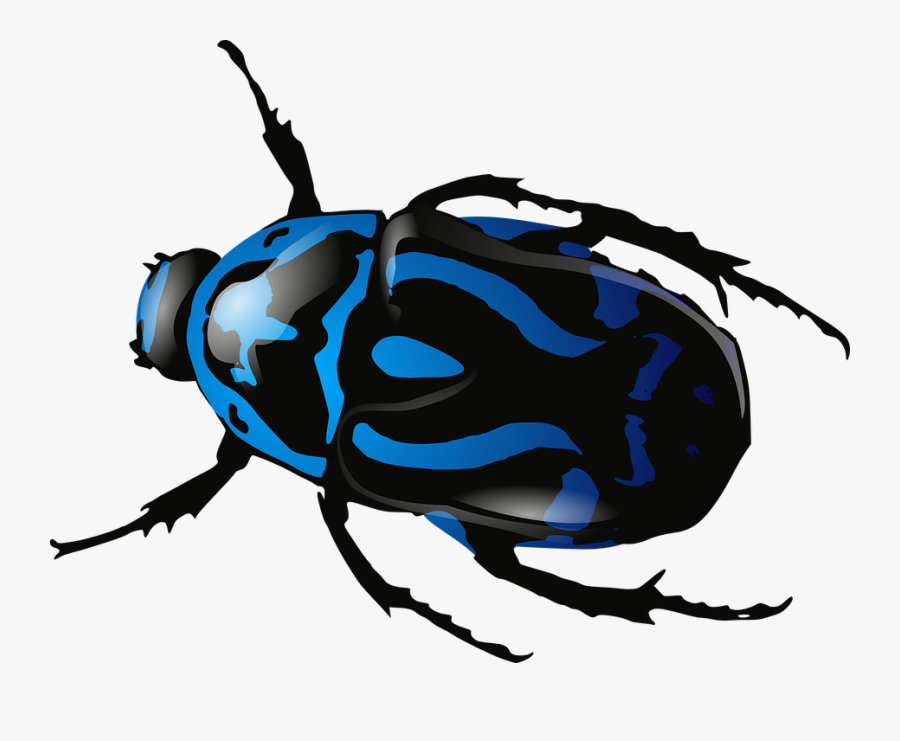 Beetle, Insect, Bug, Blue, Black, Legs, Body, Animals, Transparent Clipart