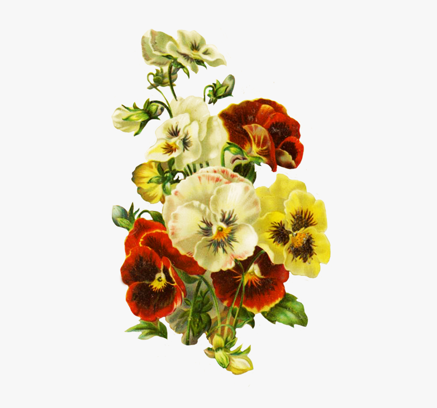 Bouquet Of Pansies - Pansies Clip Art, Transparent Clipart