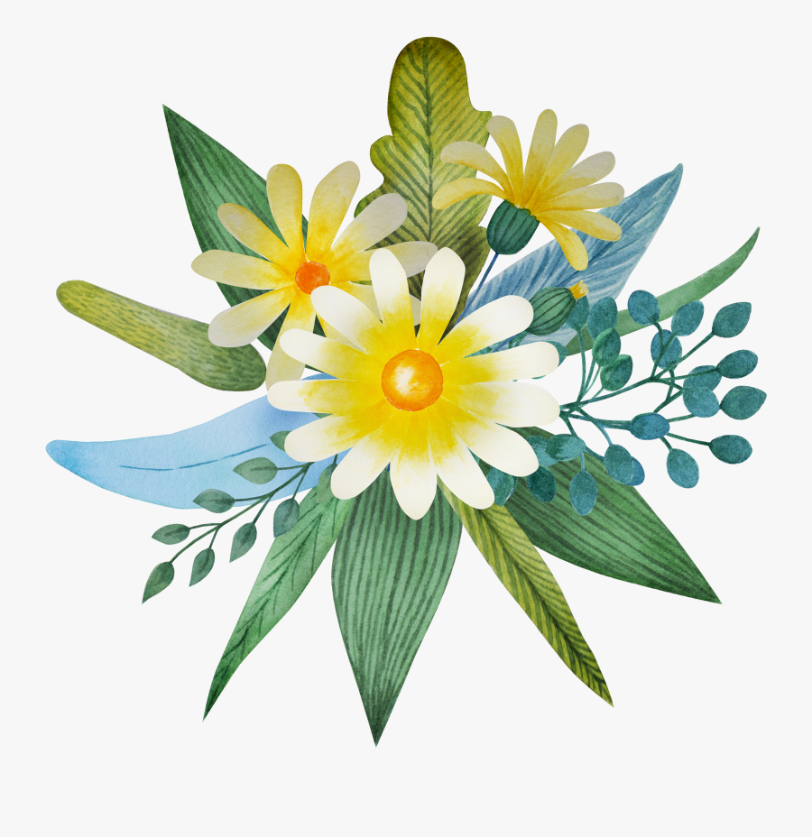 African Daisy, Transparent Clipart