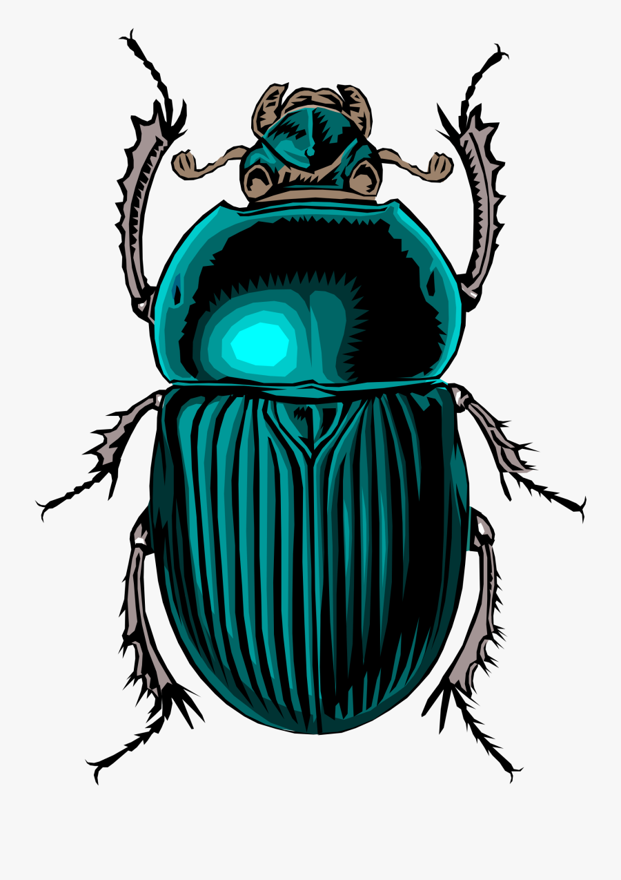 Insect Clipart Desert Insect - Beetle Clipart, Transparent Clipart