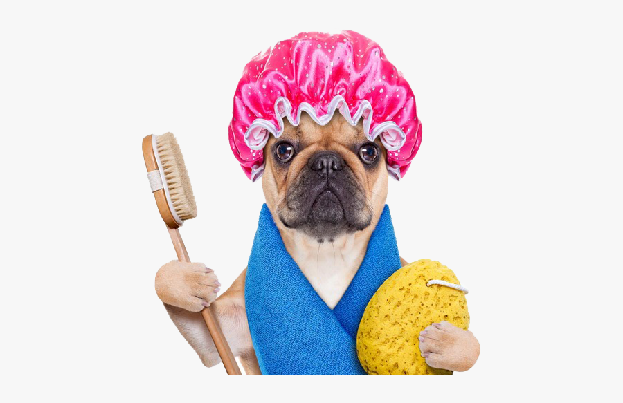Cute Towel Funny Personnel Dog Bath Hot Clipart - Dog Having A Shower, Transparent Clipart