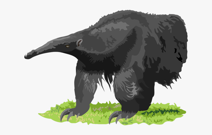 Free To Use &amp, Public Domain Anteater Clip Art - Tamanduá Png, Transparent Clipart