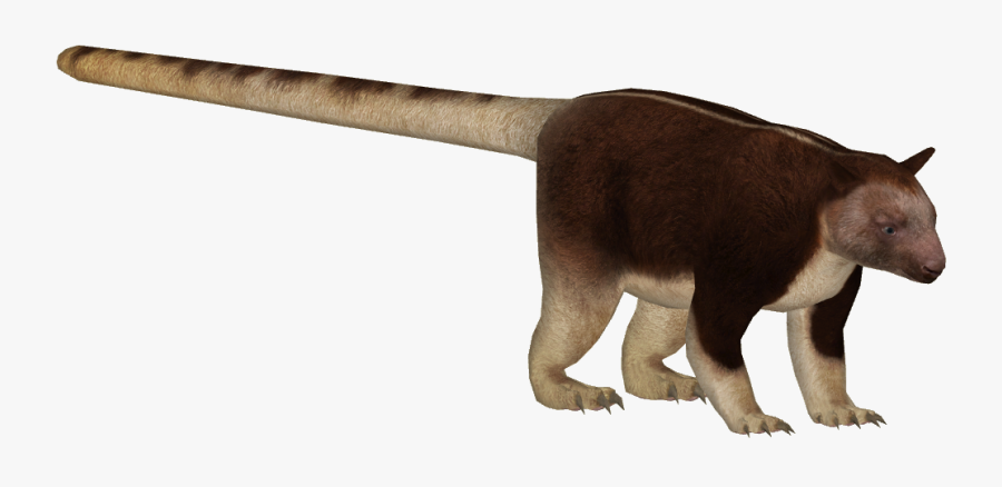 Transparent Anteater Clipart - Giant Anteater, Transparent Clipart