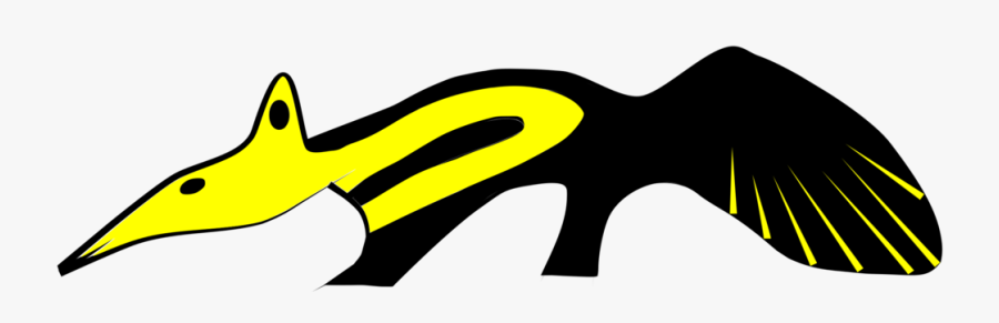 Carnivoran,line,yellow - Anteater, Transparent Clipart