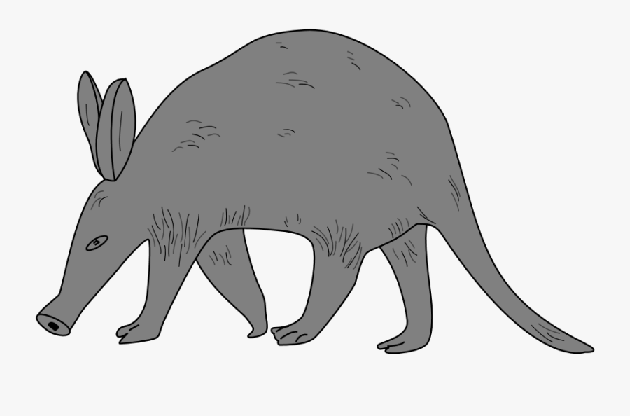 Aardvark Clipart - Transparent Png Clipart Aardvark Png, Transparent Clipart