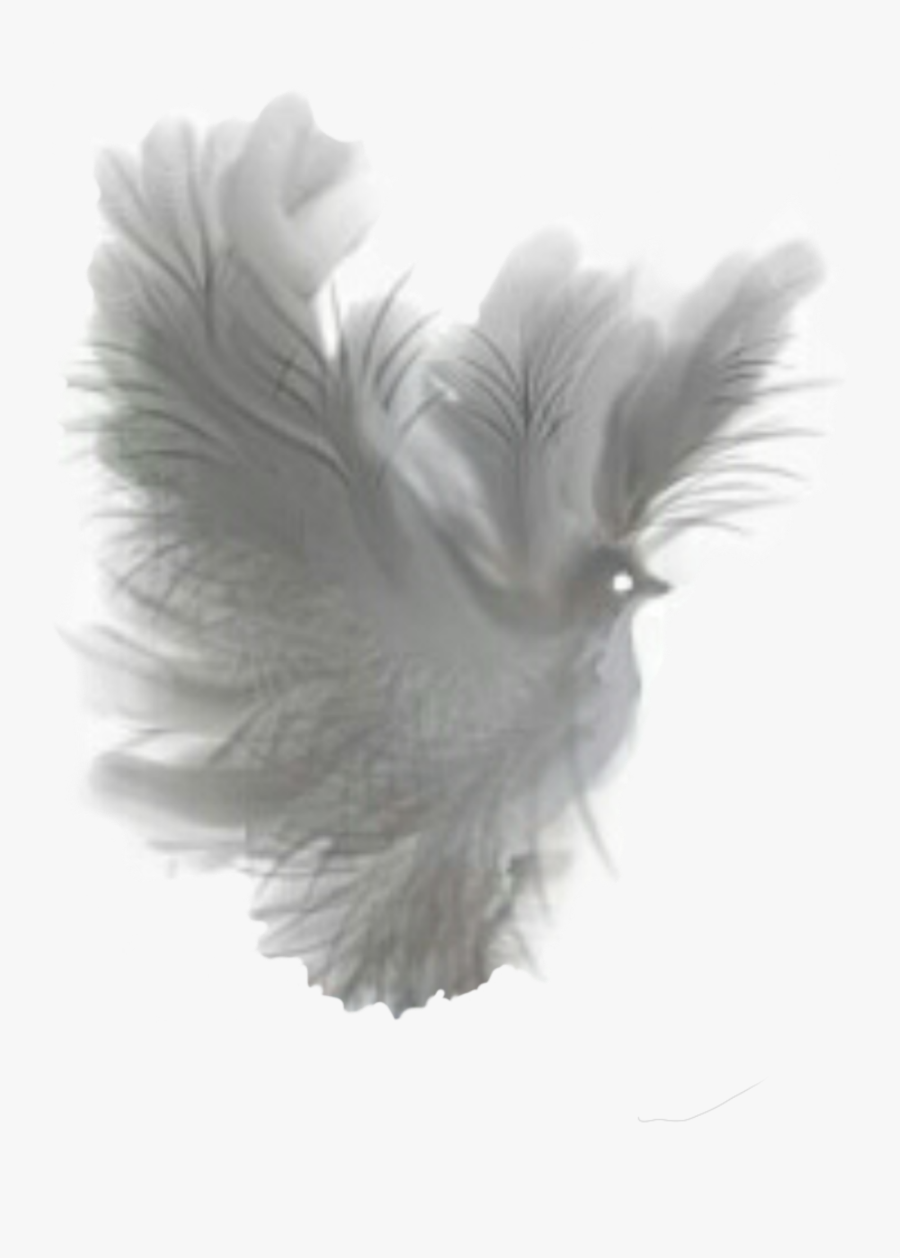 Dove Fantasy White Translucent Clip Arts - Dove Fantasy Png, Transparent Clipart