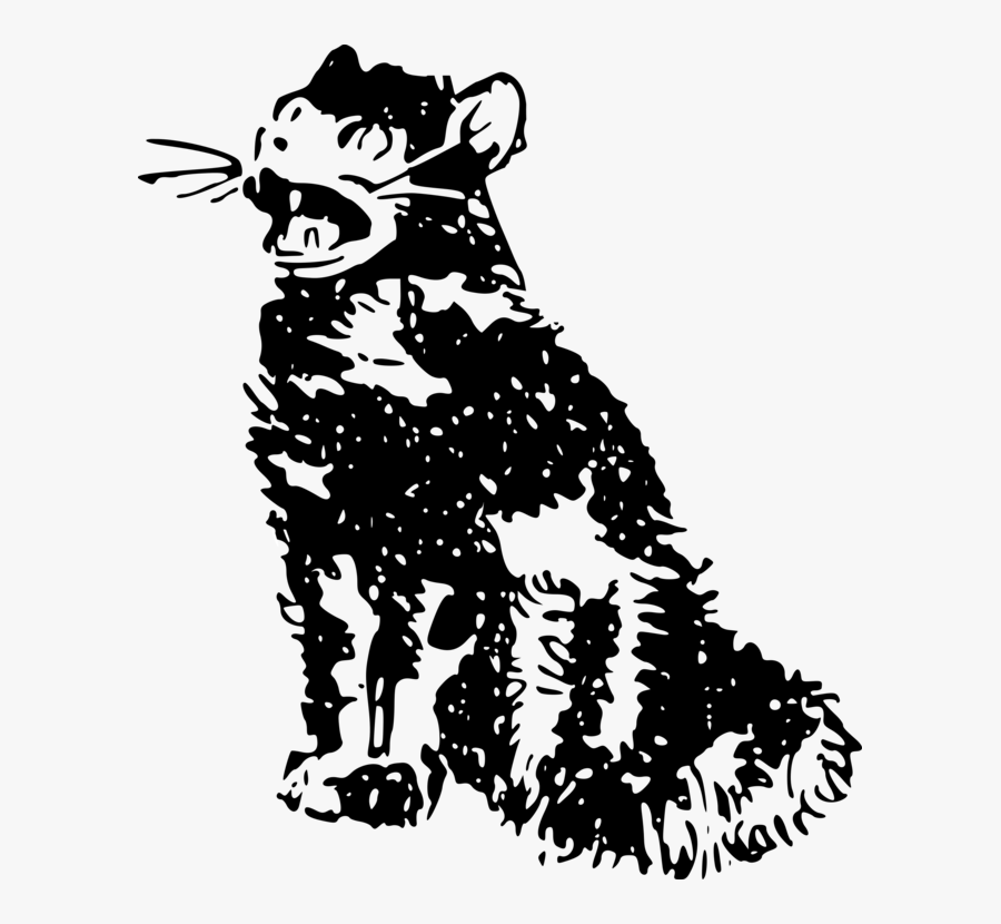 Art,monochrome Photography,carnivoran - Pretty Witch Pictures Clipart, Transparent Clipart