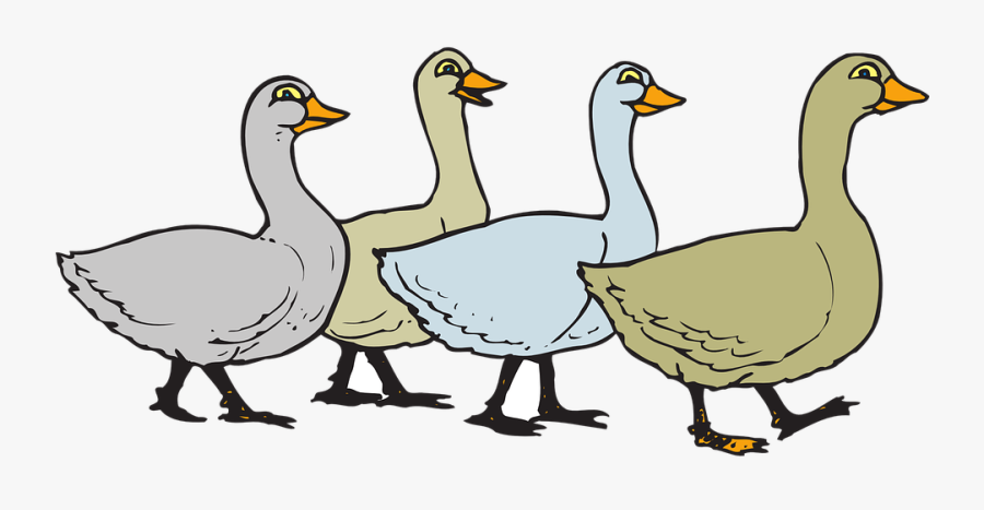 Geese Migration Clipart Png Format - Gaggle Of Geese Clipart, Transparent Clipart