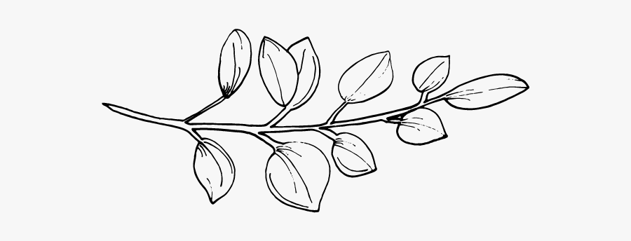 Line Art, Transparent Clipart