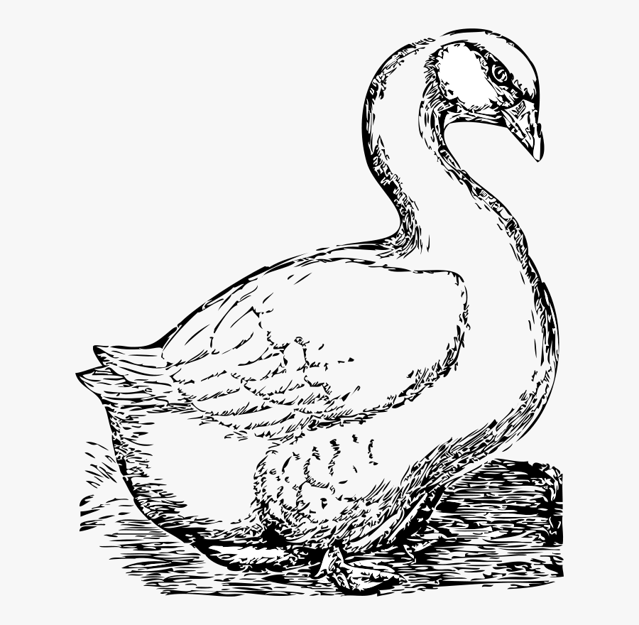 Goose - Goose Clip Art, Transparent Clipart