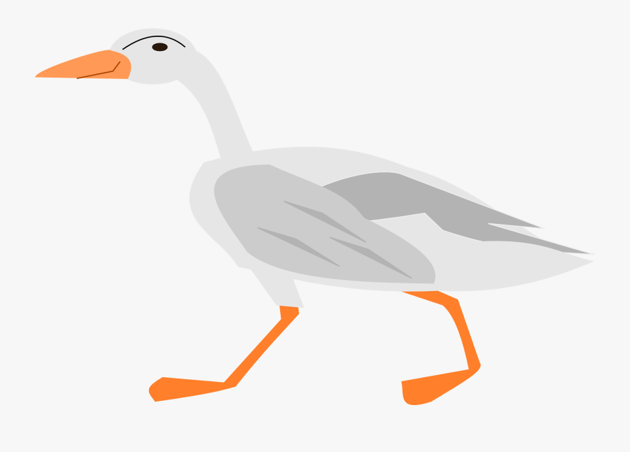 Duck, Transparent Clipart