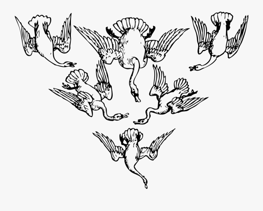 Six Geese - Clip Art Geese On Water Black And White, Transparent Clipart