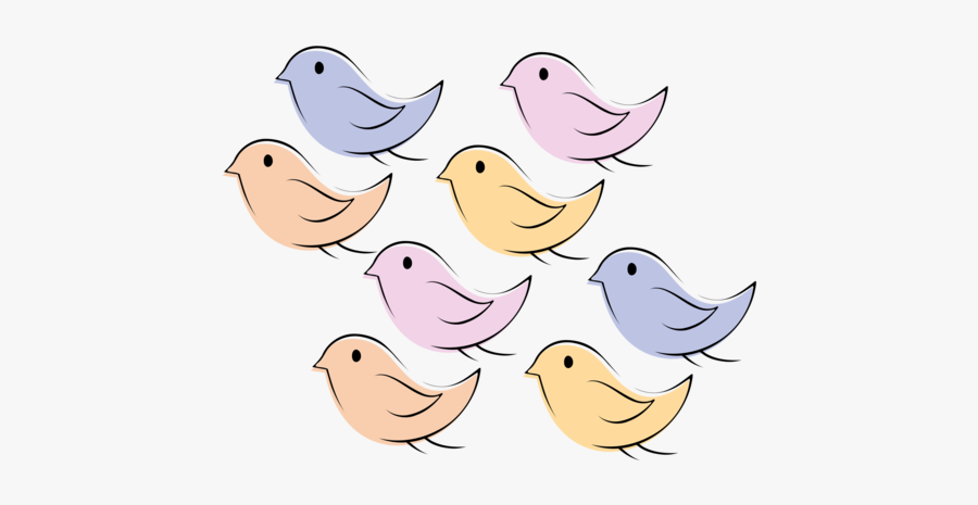 Water Bird,duck,vertebrate - Cartoon, Transparent Clipart