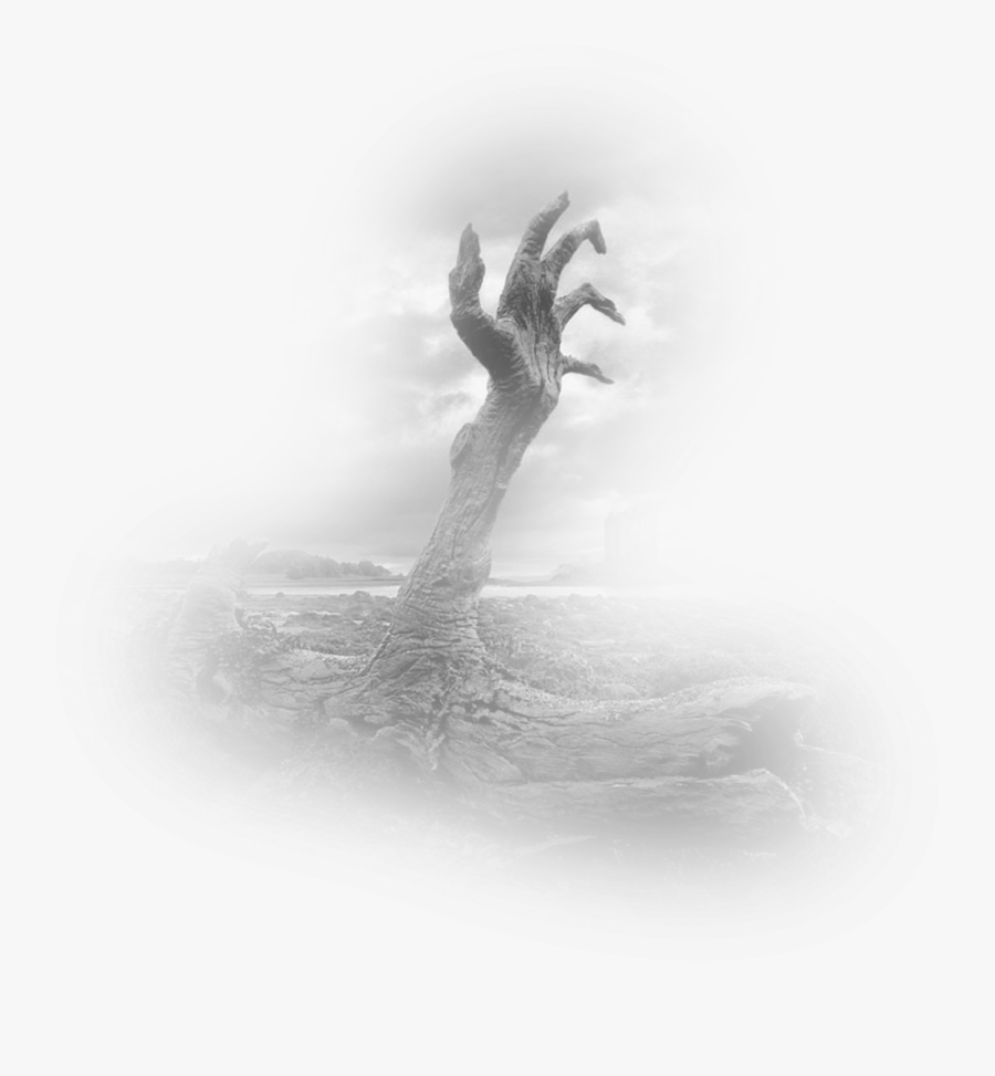 Photography Wallpaper Creepy Desktop Hands Landscape - Creepy Tree, Transparent Clipart