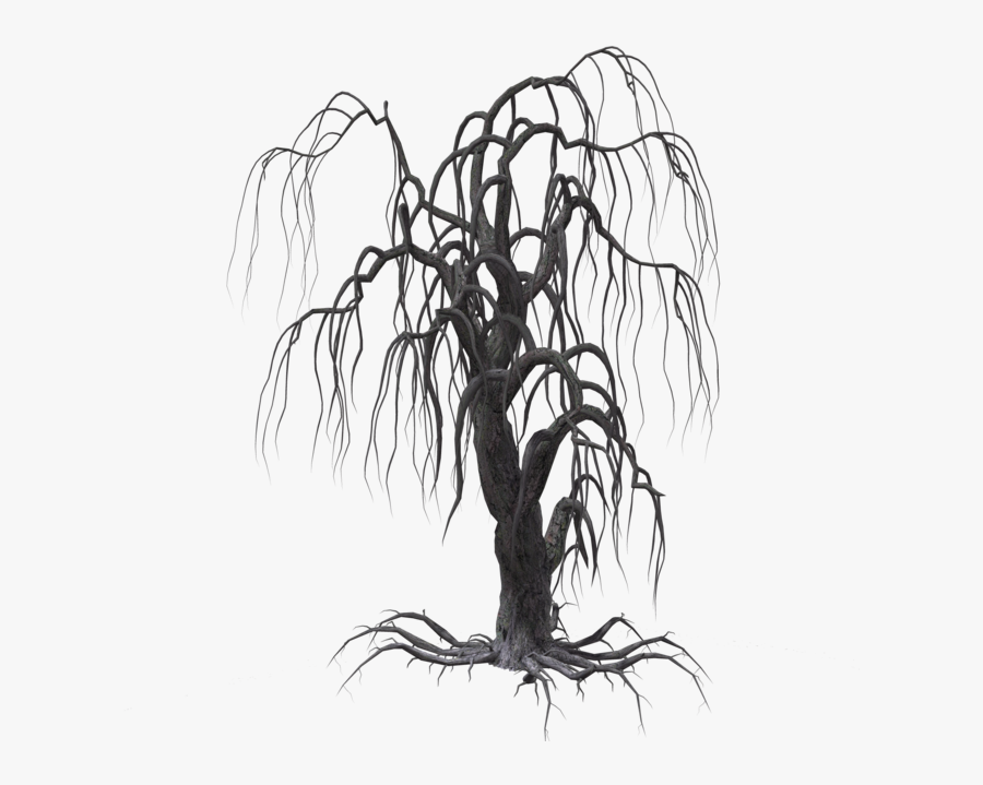 Creepy Tree 16 By Wolverine041269 On Clipart Library - Sketch, Transparent Clipart