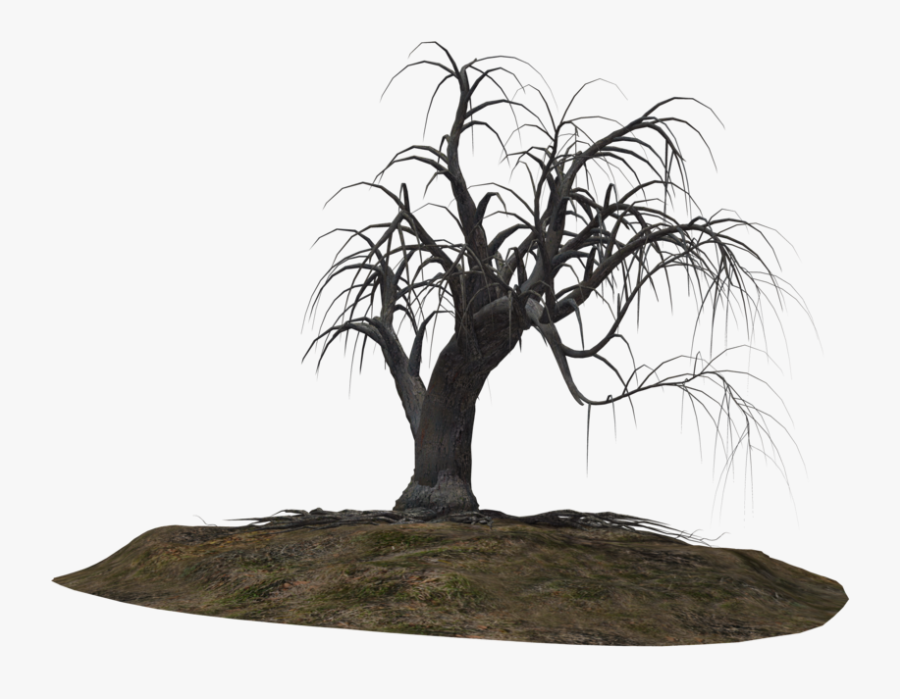 Creepy Tree 21 By Wolverine041269 On Clipart Library - Cb Edits Background See Water, Transparent Clipart