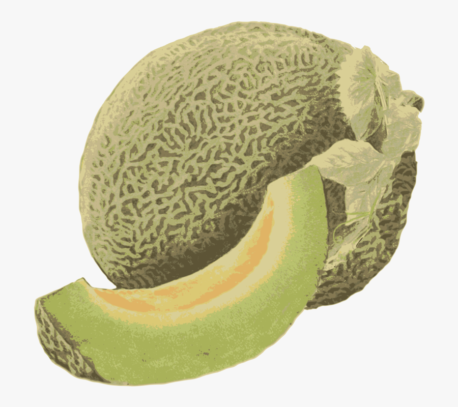 Cantaloupe,honeydew,food - Honeydew, Transparent Clipart
