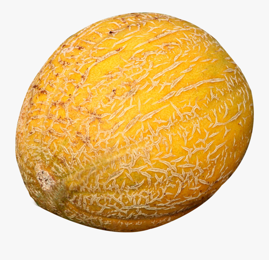 Melon, Transparent Clipart