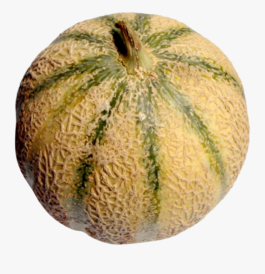 Portable Network Graphics, Transparent Clipart