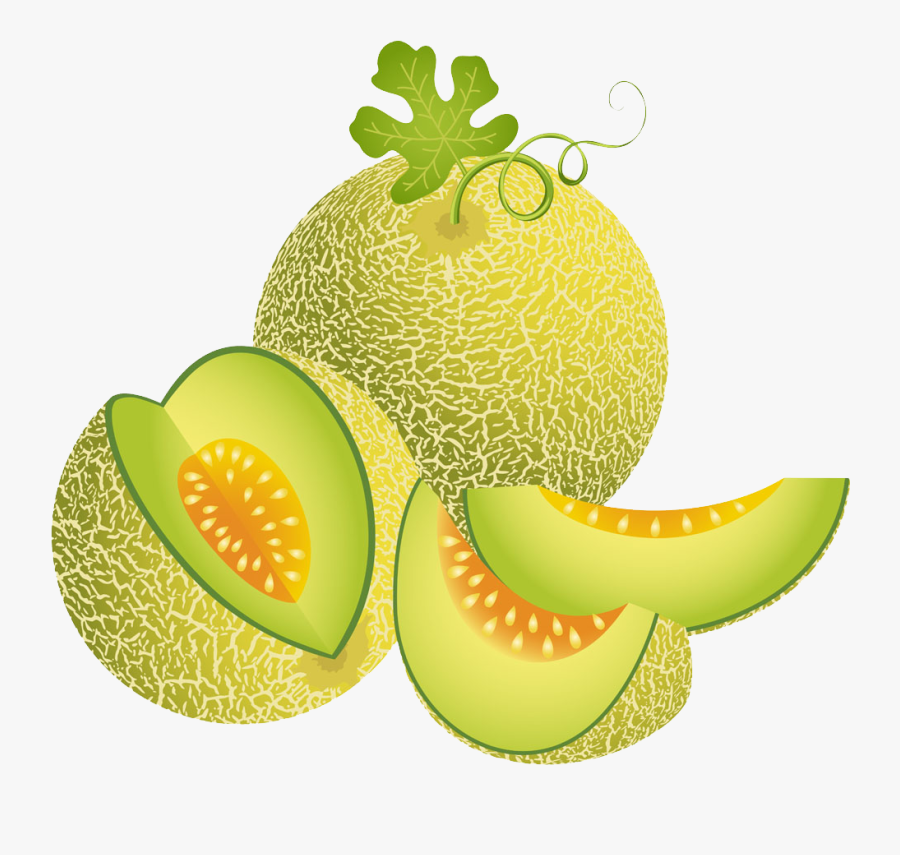 Transparent Honeydew Clipart - Melon Clipart, Transparent Clipart