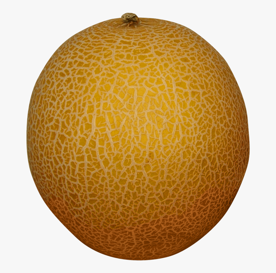Transparent Honeydew Clipart - Melon Fruit No Background, Transparent Clipart