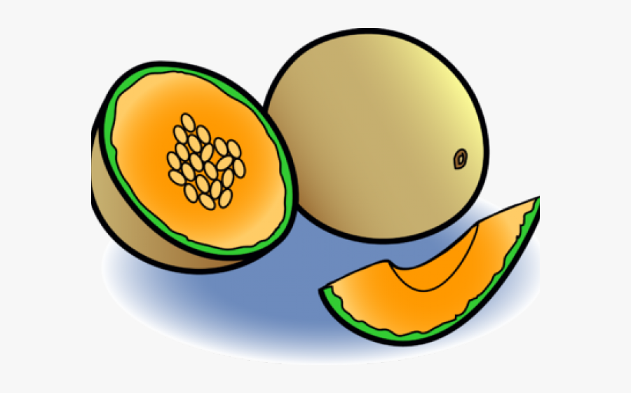 Cantaloupe Clipart Sweet Melon - Cantaloupe Clip Art, Transparent Clipart