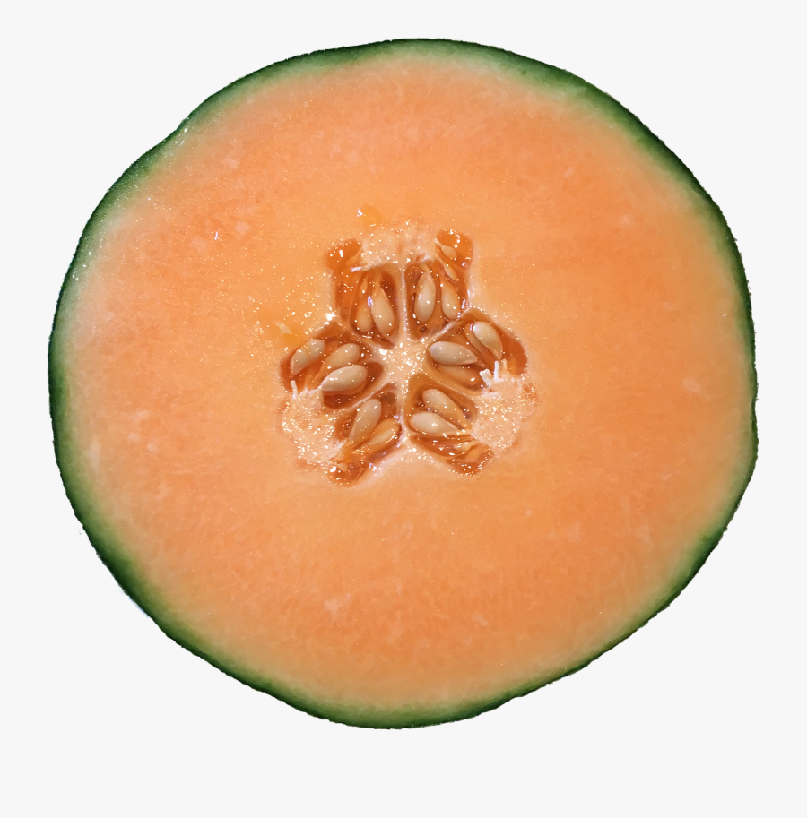 Png Cantaloupe, Transparent Clipart