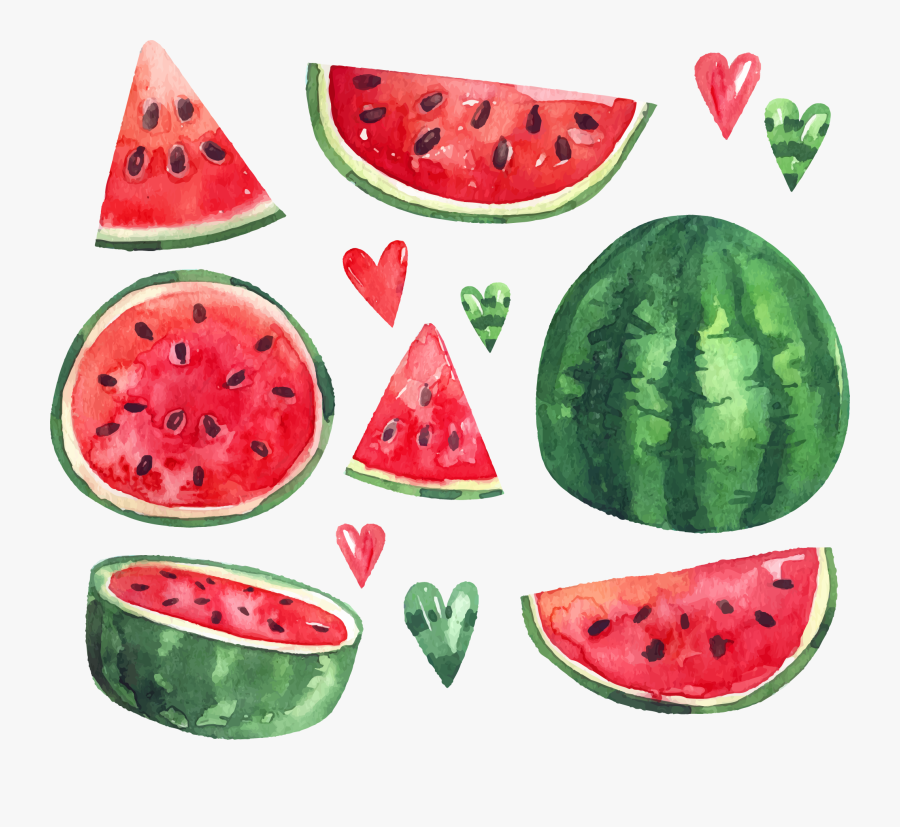 Summer Citrullus Ice Euclidean Vector Watermelon Lanatus - Png Арбуз Вектор, Transparent Clipart