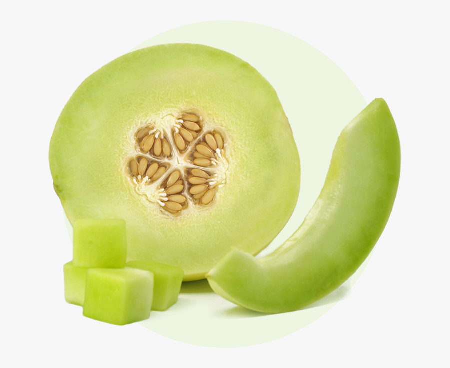 Transparent Honeydew Png - Honeydew, Transparent Clipart