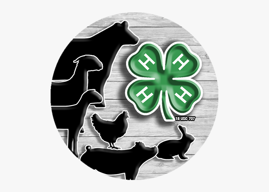 Livestock Show Rules - 4 H Livestock Logo, Transparent Clipart