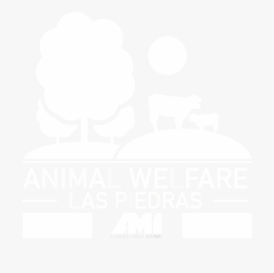 Transparent Angus Steer Clipart - Poster, Transparent Clipart